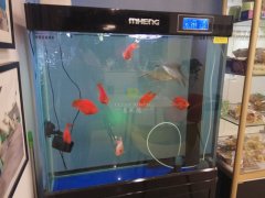 玻璃魚缸臟了怎么清洗才干凈？